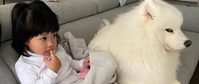 自从给它生了个小主人，萨摩看自己的眼神都变了……