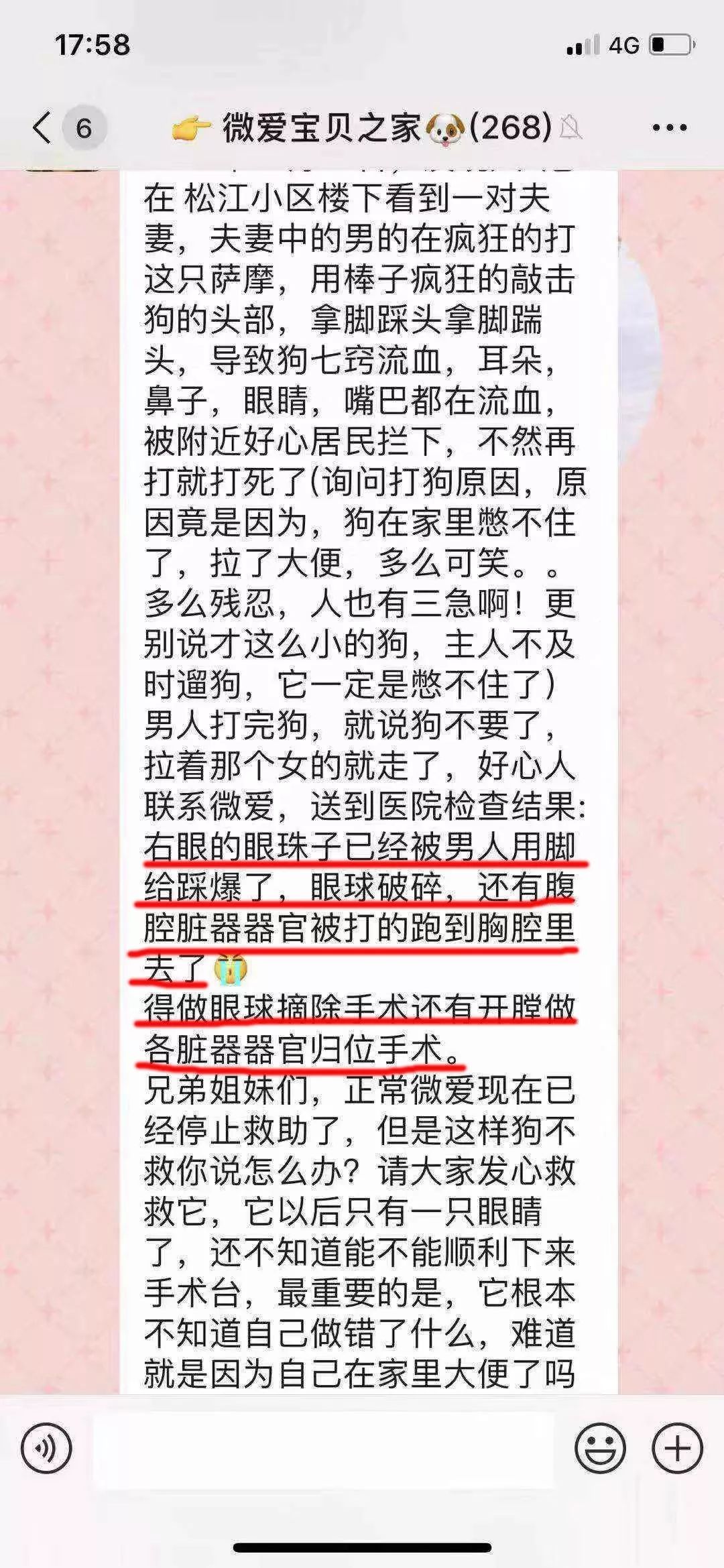 狗狗被主人打爆眼球後遺棄，好心人救下後主人竟還想要回？ 寵物 第5張