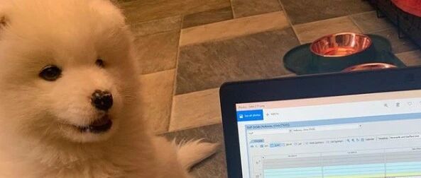 网友晚上回家加班，刚打开电脑奶萨就跑过来争宠：“爱它还是爱我？！”