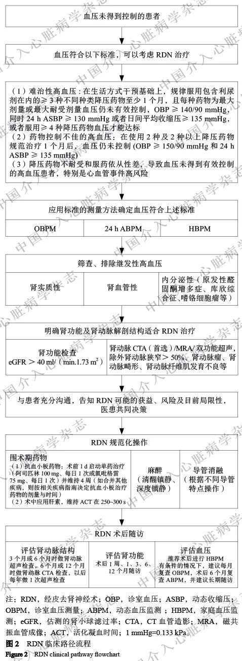 【专家共识】经皮去肾神经术治疗高血压临床路径中国专家共识（2025版）