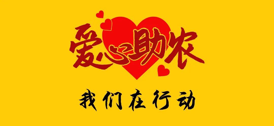 点赞山东华信房产公益助农在行动