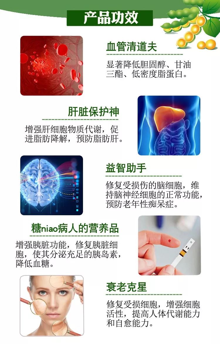 大豆卵磷脂的功效和作用 常春藤电子商务 微信公众号文章阅读 Wemp