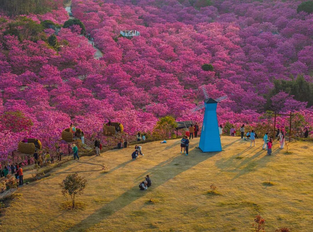 图源：最美大泽