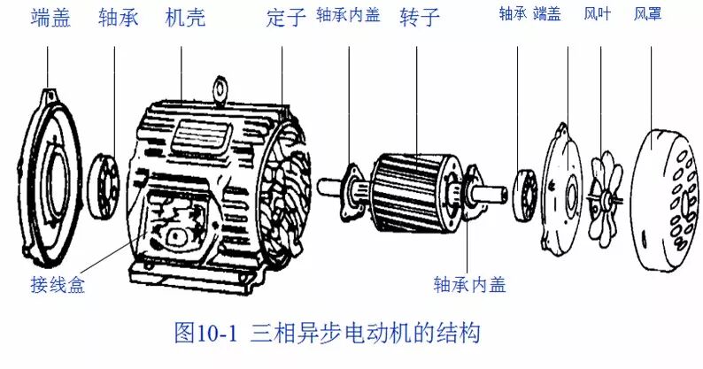 三相异步电动机的的拆装的图1