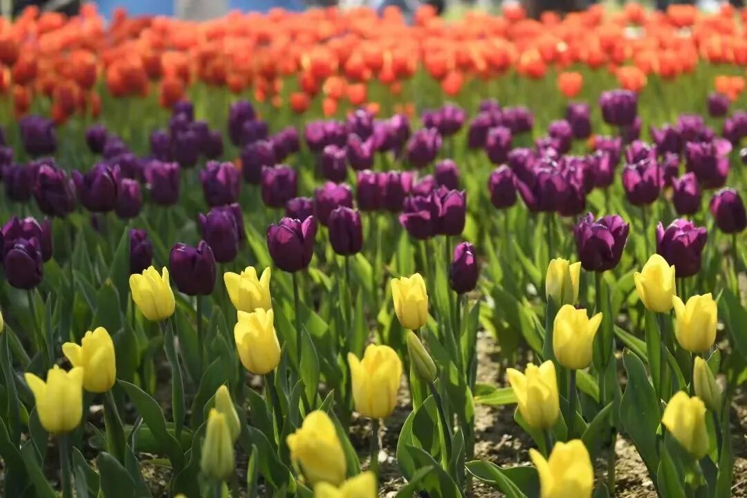 131E12E6CF35F201E77B8DA009E1C8B9.jpg