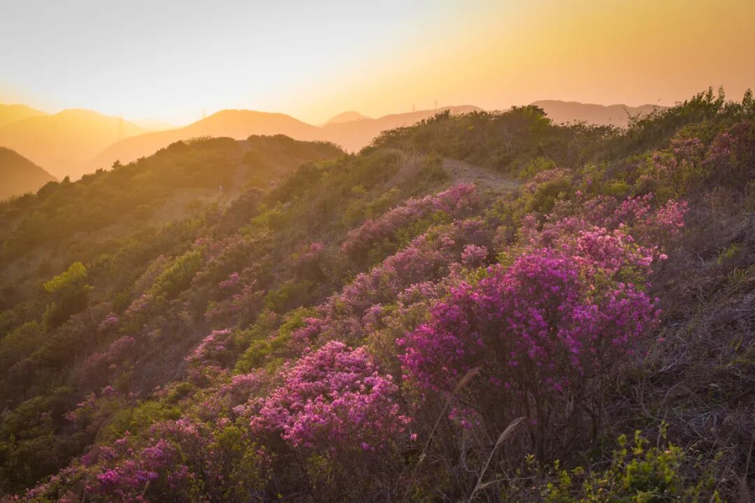 DJI_20250413175724_0136_D.jpg