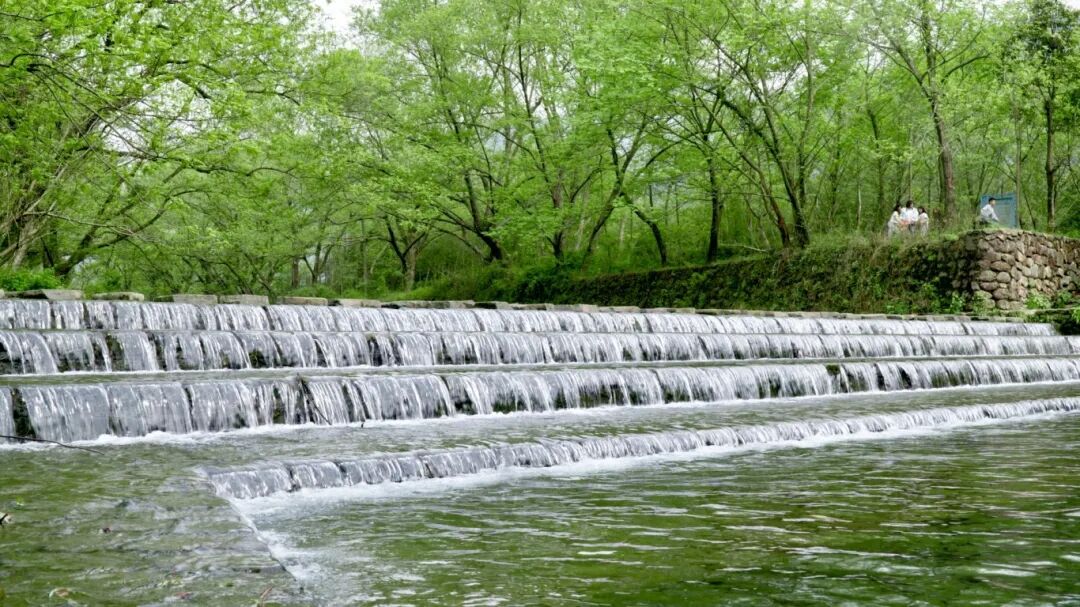 微信图片_20260507163659_13_287.jpg