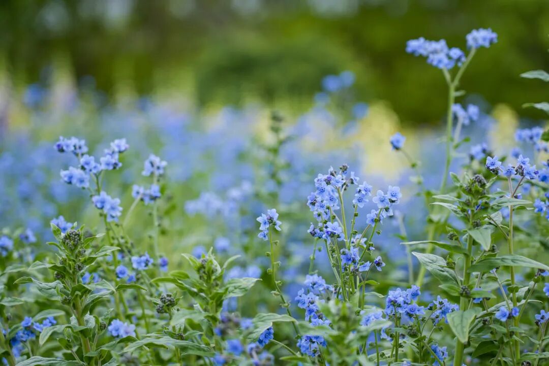 907a9155e884355238ff22164d7b1e9d.jpg