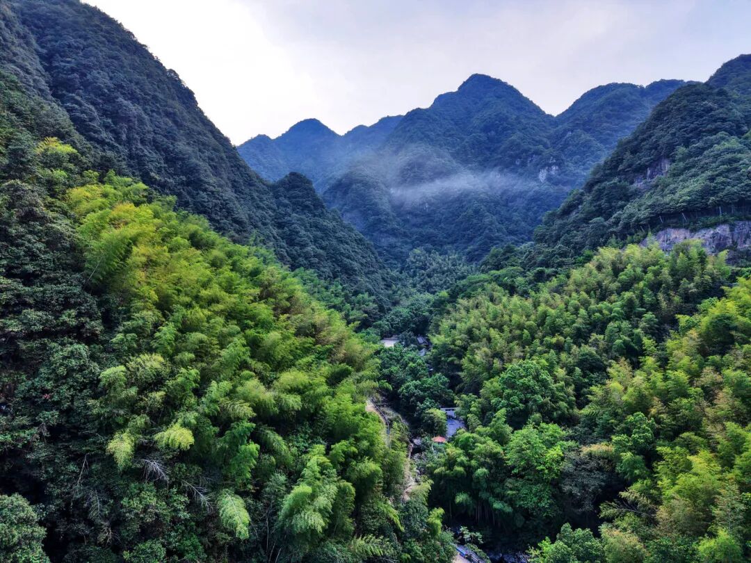 9.8 潘旭光 四明山五龙潭山涧 白天11.jpg