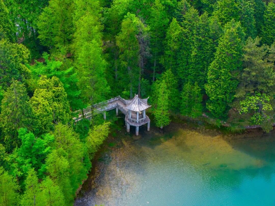 DJI_20260510113532_0044_D.jpg