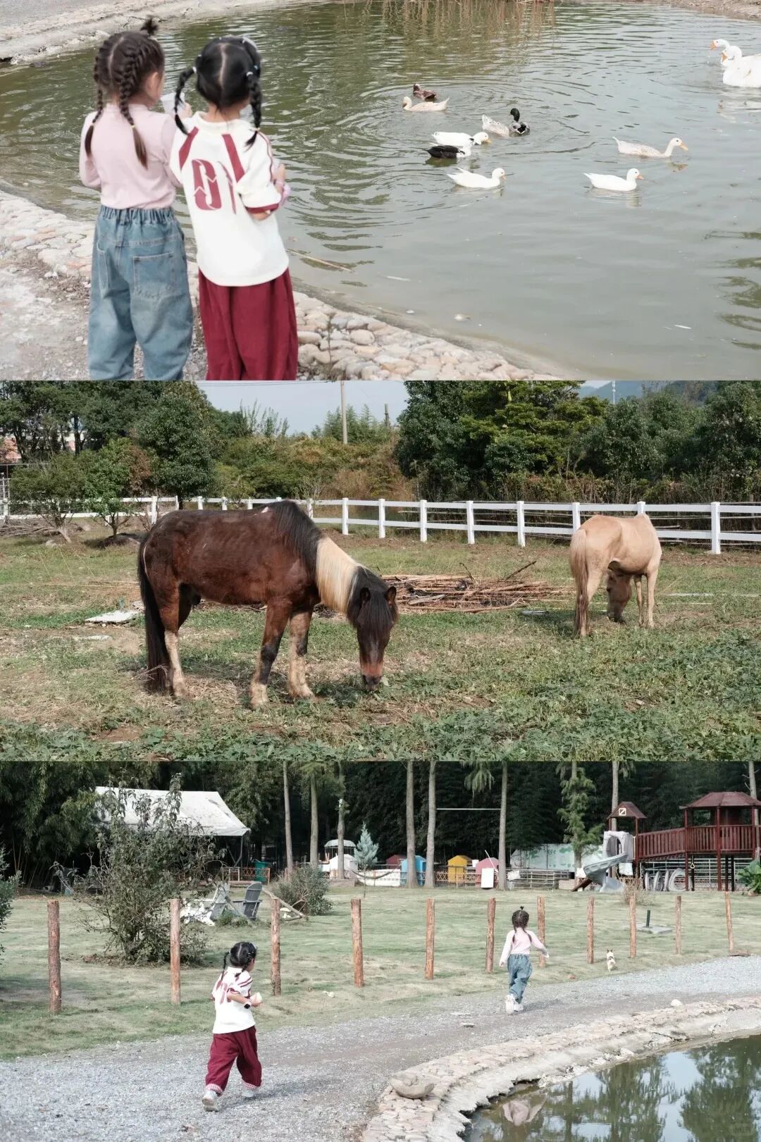 宁波周末遛娃｜亲子乡野游蘑菇农场🍄_13_爱吃芒果干_来自小红书网页版.jpg