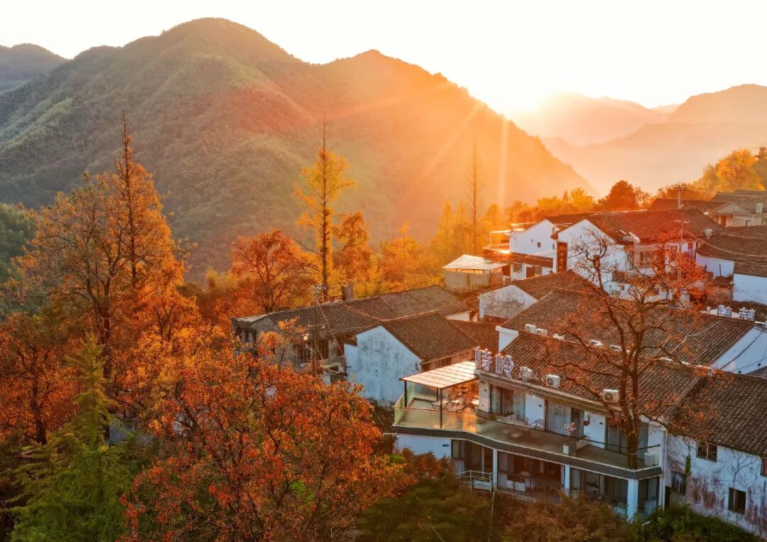 沈孟涨.jpg