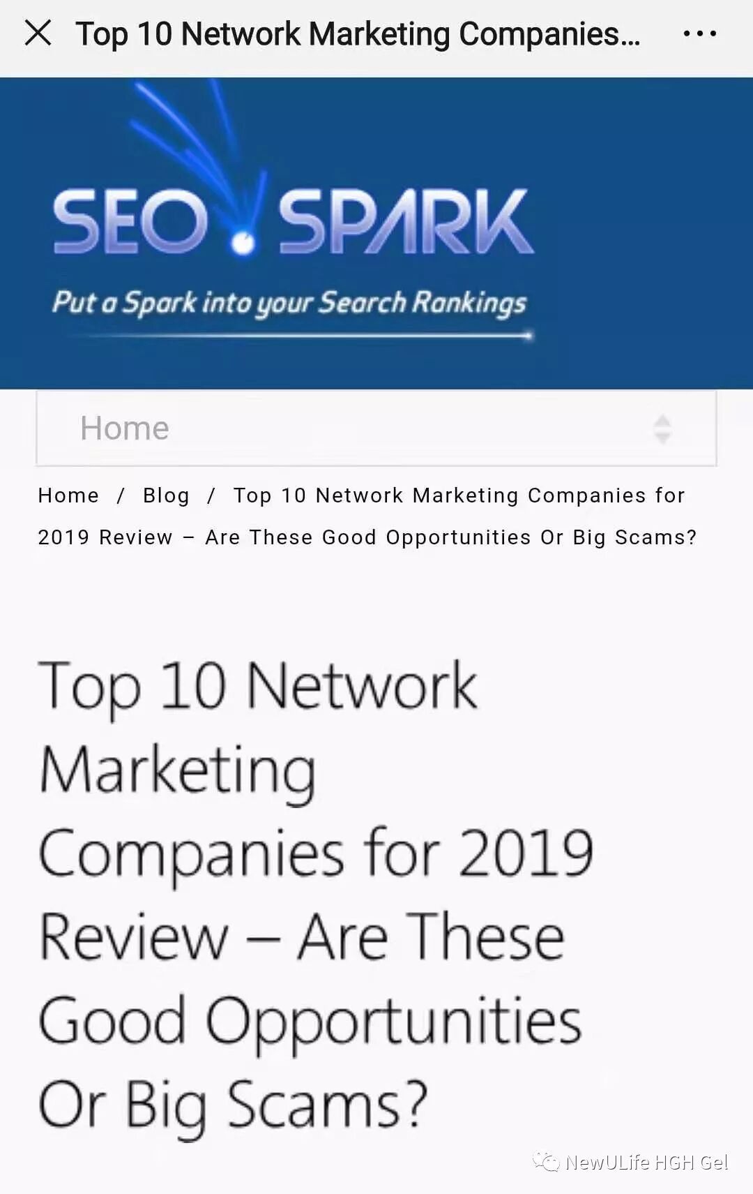 2019全美网络营销排名第一的 New U Life 公司是