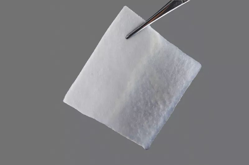 医用敷料界新宠兵兵藻酸盐敷料