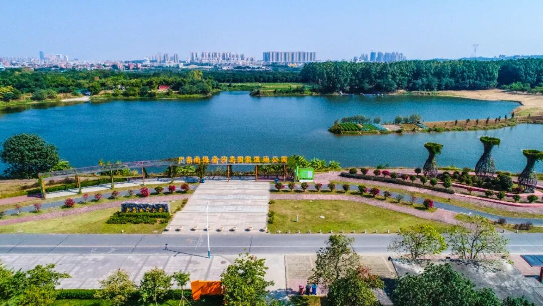 佛山市南海区丹灶镇东部南海金沙岛国家湿地公园一片绿岛"撞"入眼中