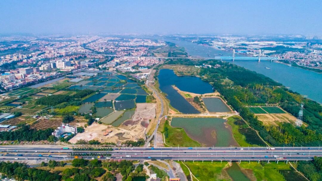 万亩湿地鹭鸟齐飞佛山这个江心小岛颜值爆表