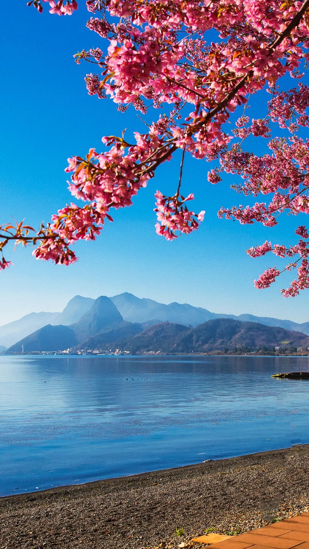 我为云南新地标点赞来抚仙湖且以诗意共远方