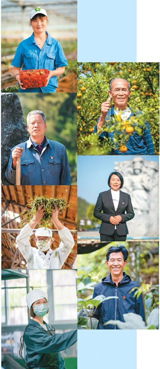 西畴县奋战在乡村振兴新征程上的不凡身影,左排从上至下分别为:曾遭遇