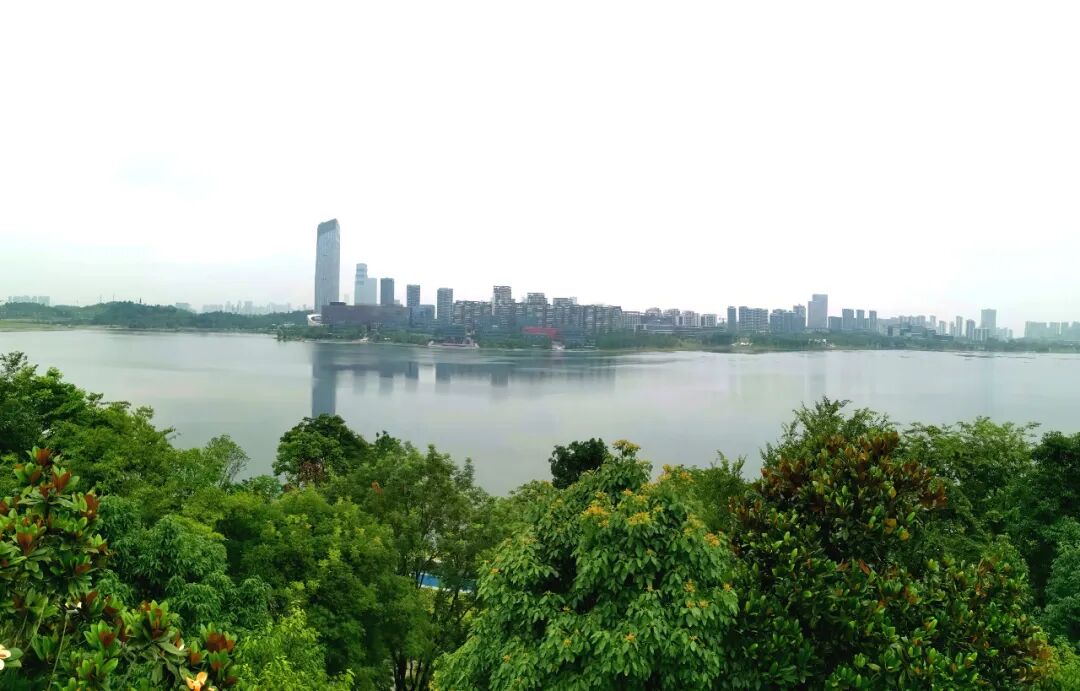 微信图片_20220611105237.jpg 图片