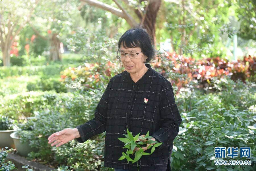 今天一组照片讲述张桂梅芳华故事