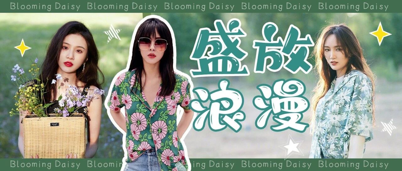 送你一朵小雏菊 把整个六月的明媚都给你