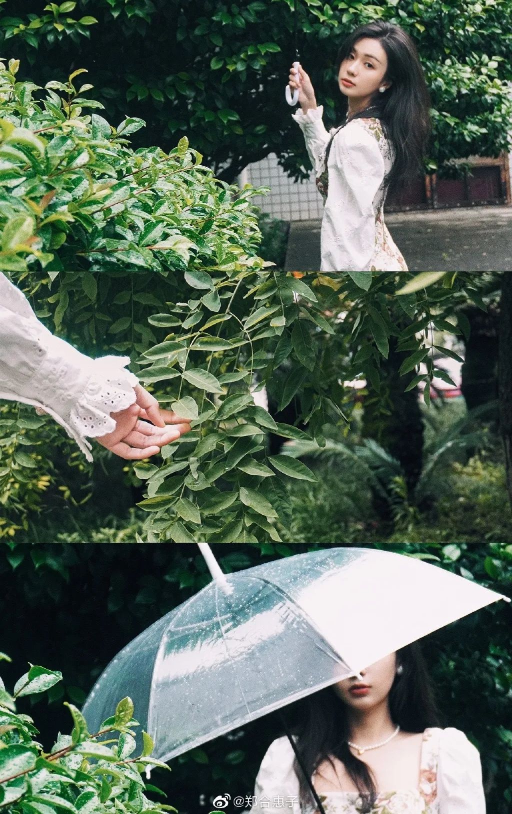 梅雨季的撑伞大片
