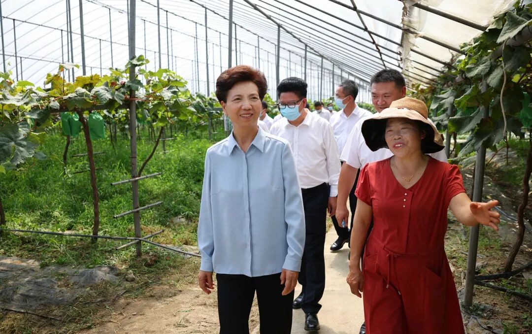 谌贻琴在毕节市调研 - 江西省贵州商会