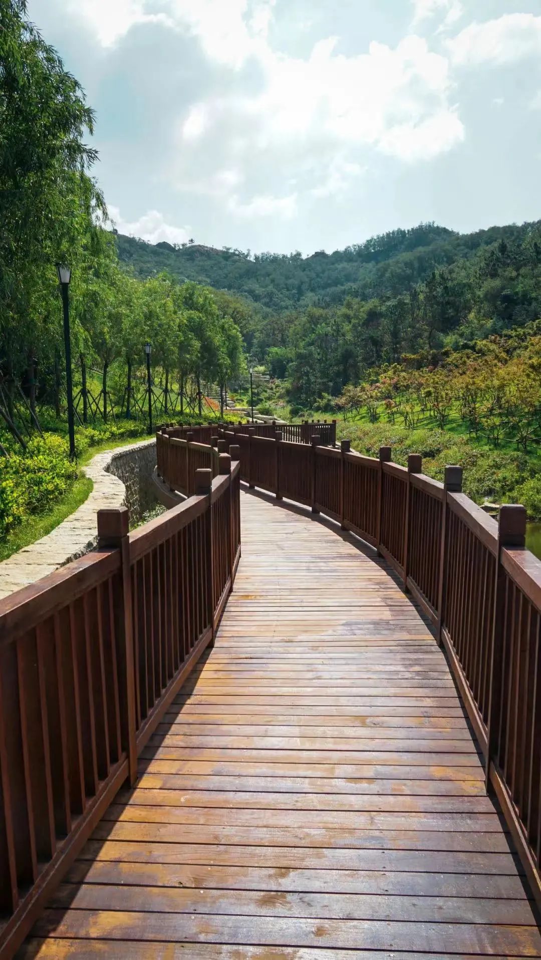 虎年邀你到老虎山公園逛逛