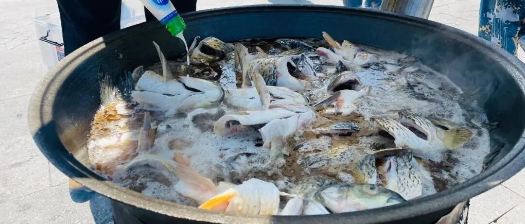 连吃十天不要钱！山东一高校做全鱼宴，学生：亲手喂大的鱼，真香！