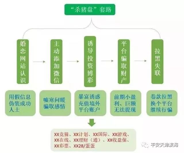 杀猪盘骗局_婚前婚后大龄剩女421_大龄剩女千万别碰
