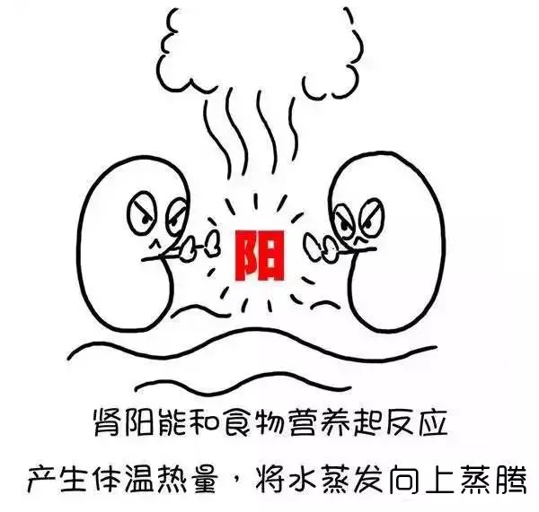 体内的湿气是怎样形成的，一图秒懂！（漫画版）