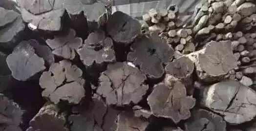 从紫光檀身上，我看到了像黄花梨 小叶紫檀一样的前景