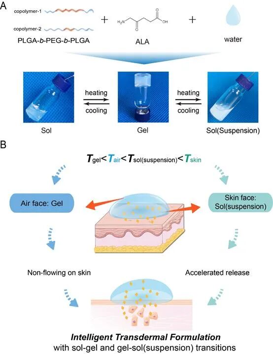 复旦丁建东教授课题组AFM：利用双重响应发明自发不对称的智能化凝胶透皮制剂的图1