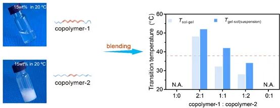 复旦丁建东教授课题组AFM：利用双重响应发明自发不对称的智能化凝胶透皮制剂的图2