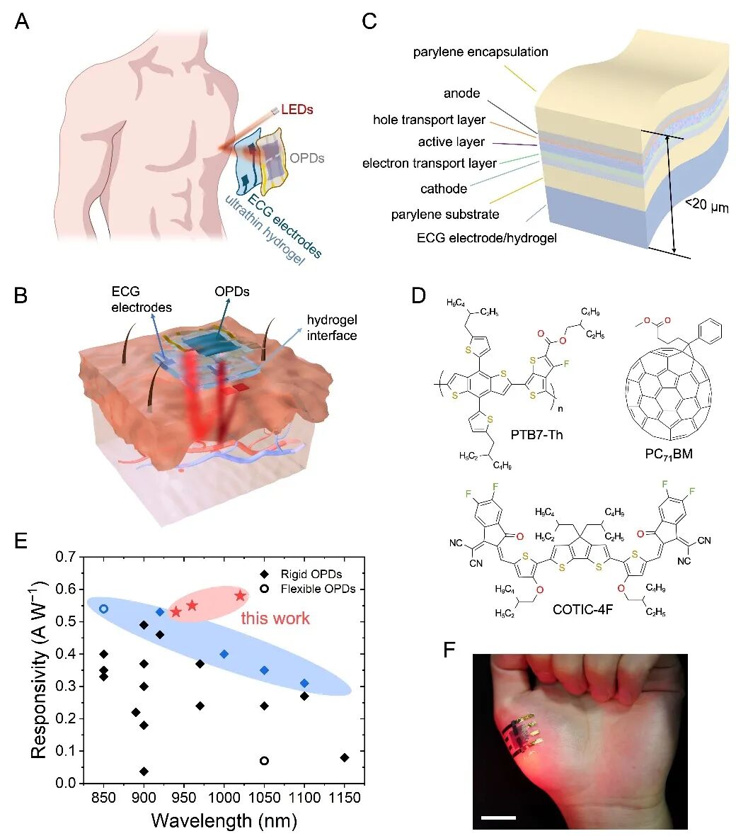 深圳怎么开通ecg清华深圳国际研究生院徐晓敏、成会明团队 Adv. Sci.：在皮肤集成电子的多模传感研究领域取得新进展_https://www.jmylbn.com_新闻资讯_第3张