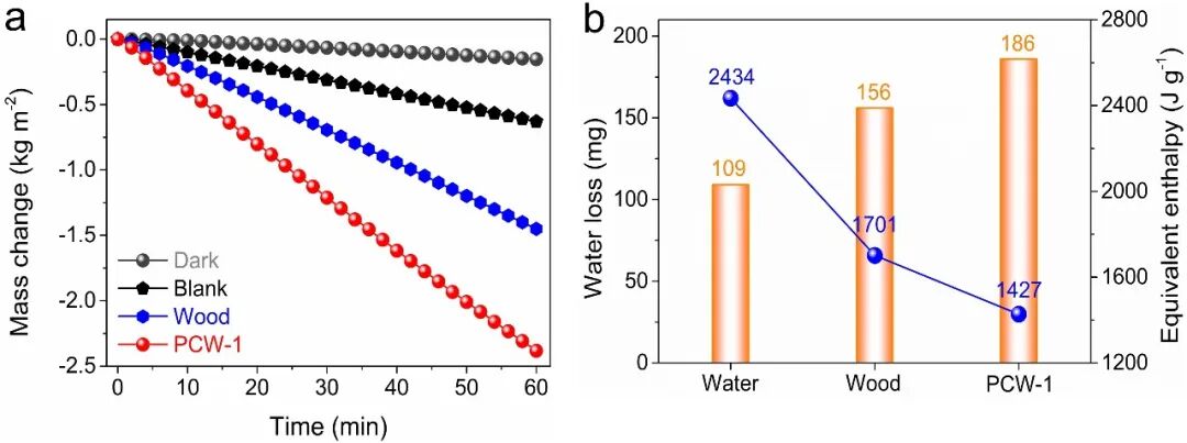 华中大龚江研究员和长春应化所唐涛研究员：废弃聚酯可控碳化构筑双层太阳能界面蒸发器用于光热海水淡化的图4