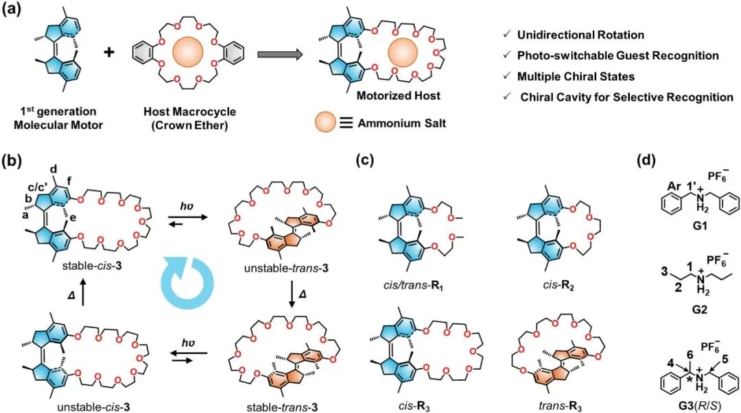 华东理工大学曲大辉教授课题组等Angew：光驱动分子机器最新进展的图1