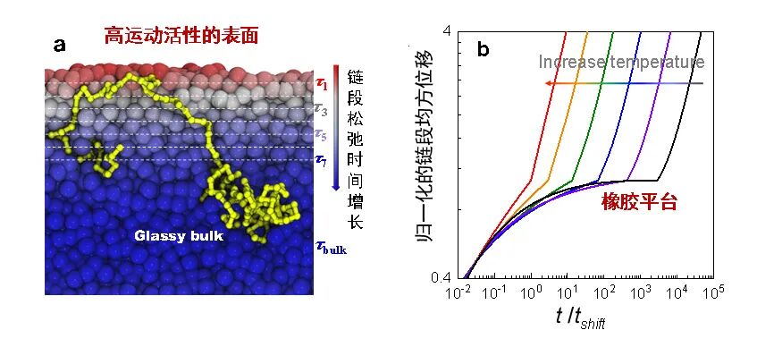 浙理工左彪Nature：聚合物表面分子動(dòng)力學(xué)的表征和新機(jī)制的圖3