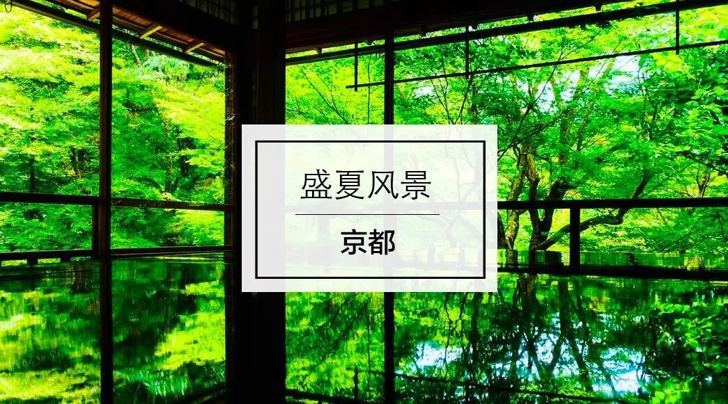 盛夏 京都最適合拍寫真的5大風景地 你來出境遊 微文庫