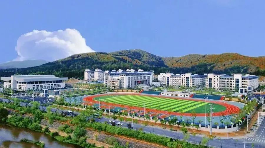 罗田县实验高中2025年高考本科上线人数503人