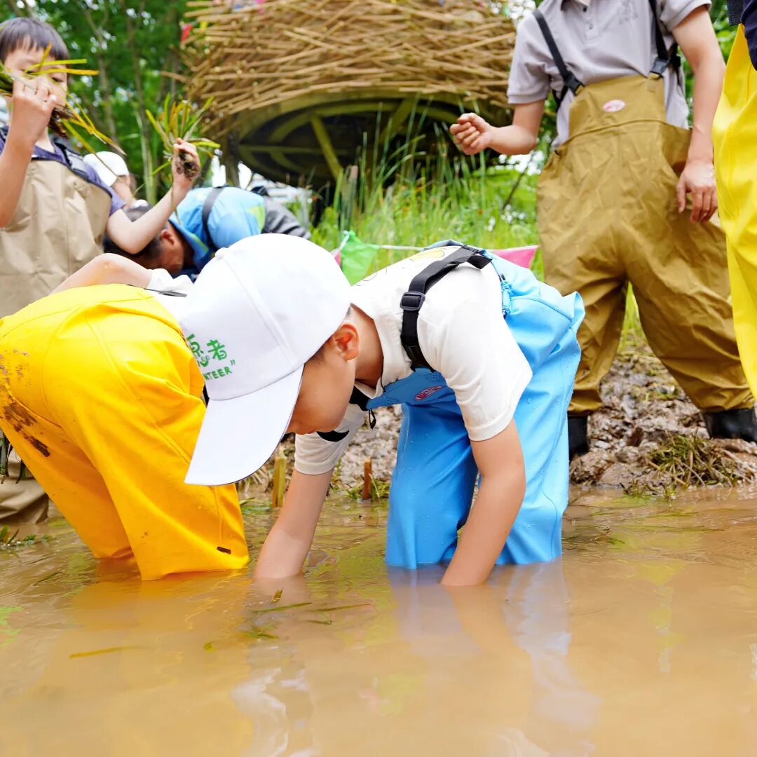 六五环境日|在成都麓湖,种一片水下森林