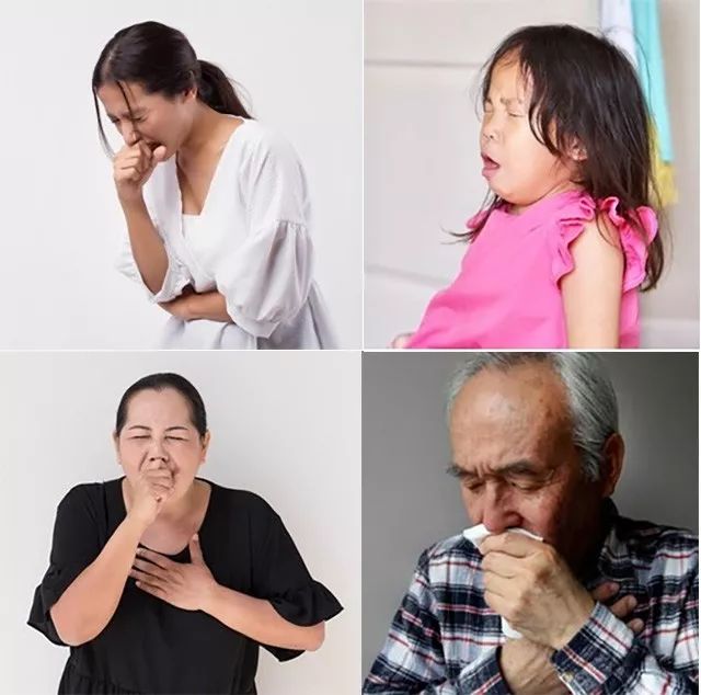 雞蛋配一物，補血補氣助睡眠，還能延年益壽呢！男人女人都管用！ 健康 第2張