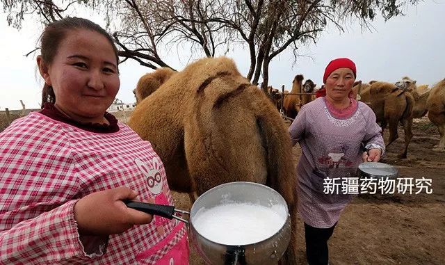 枸杞與此物同吃，肝乾淨了，眼睛亮了，三高降了，皮膚乾淨，可惜很少人知道！ 健康 第18張