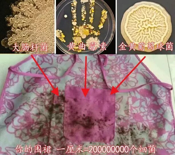 廚房有了它，一年衣服少洗100次！滴油不沾、滴水不漏！ 家居 第4張