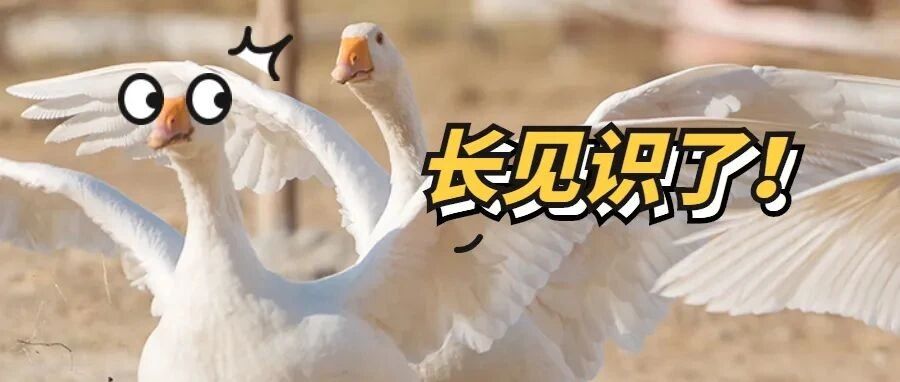 环保人的一天 | 揭秘空气质量预报员的“问天超能力”