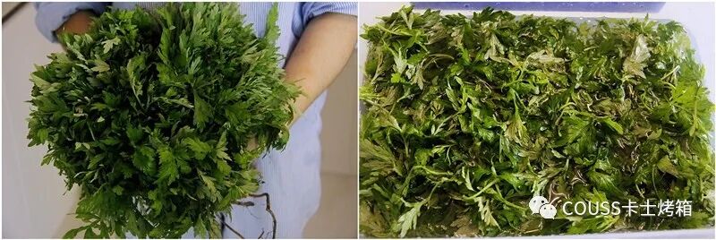 艾叶青团的功效_艾叶青石_艾叶青