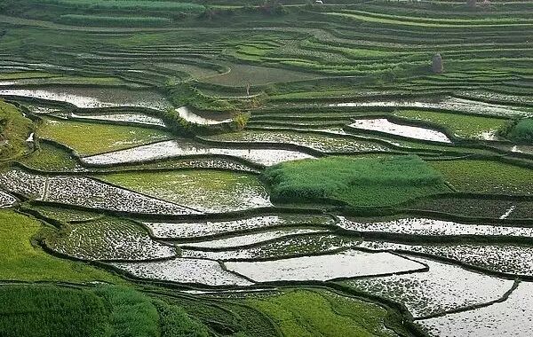 【养生有方】区域养生——平原和盆地(下)