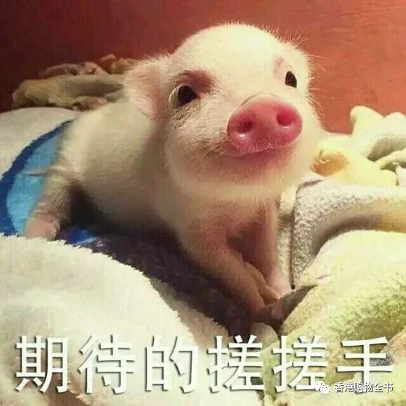 2018雅诗兰黛限量套装 雅诗兰黛圣诞套装2018 雅诗兰黛圣诞礼盒2018 限量版圣诞套装 详情大揭秘-图片3