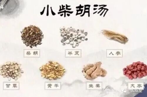 名方小柴胡汤系列1-小柴胡汤的组成