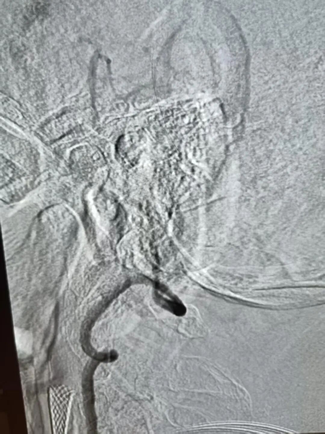 image12.jpeg